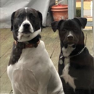 Meet your Posher, Annette